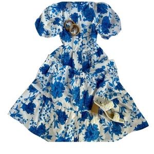 Perfect on-trend blue and white peony dress in poplin. Work to Night Out. NWOT!